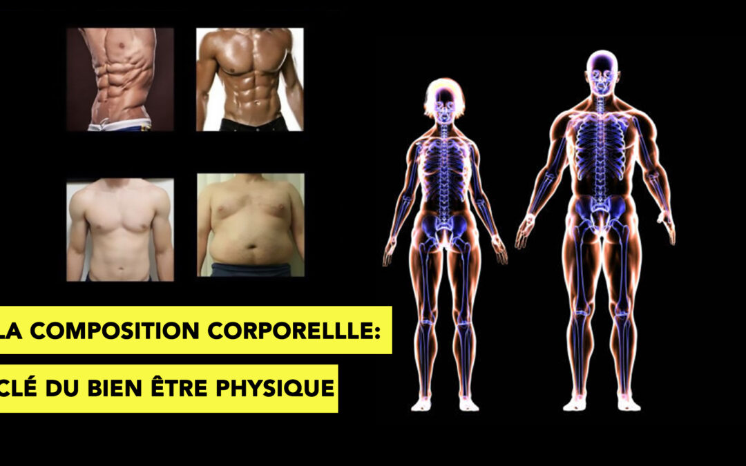 La composition corporelle: clé du bien-être physique